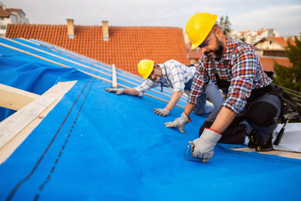 Best Roof Moss and Algae Removal  in Cedar Creek, TX