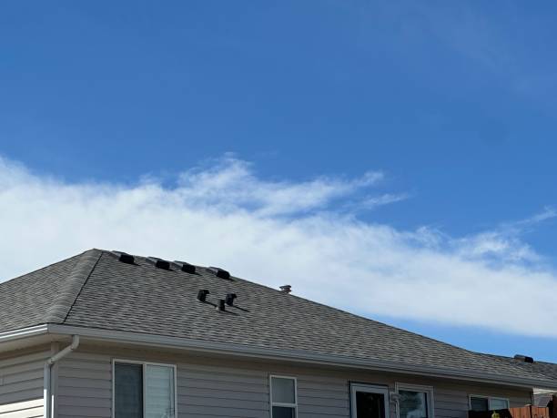 Best Gutter Installation and Repair  in Cedar Creek, TX